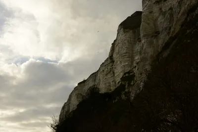 DSC_1325 (Large).JPG